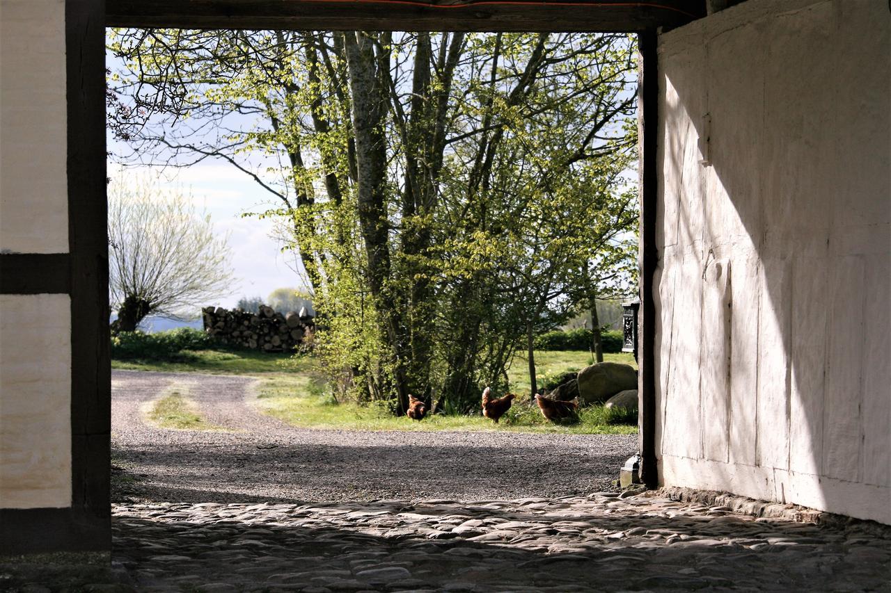 Apartamento Ferielejlighed Pa Rodkaergard Kerteminde Exterior foto